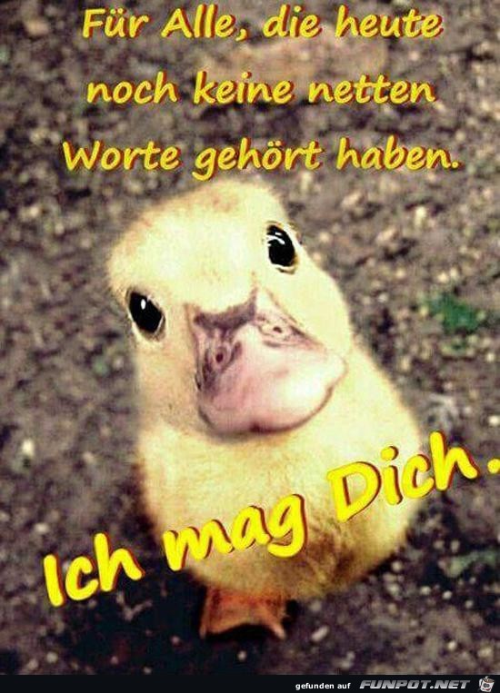 ich mag dich........