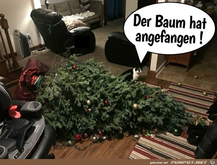 Der Baum hat angefangen