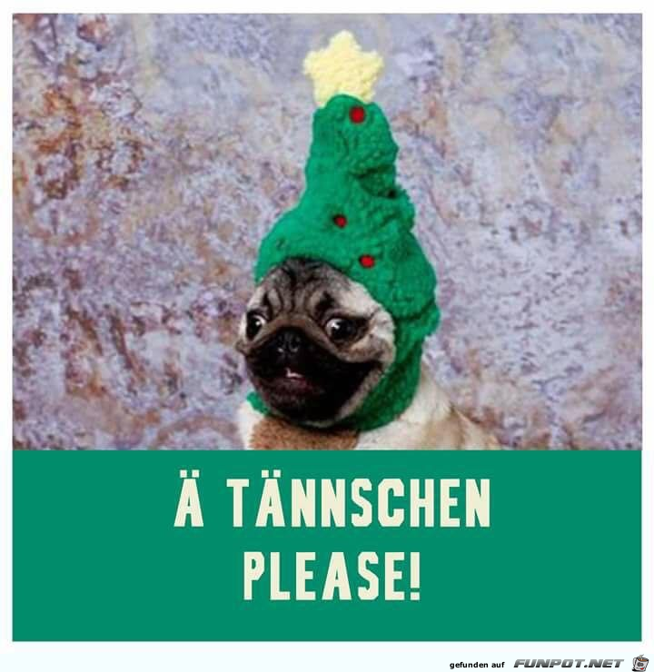 Achtung bitte Achtung bitte