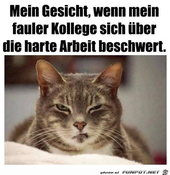 Mein Gesicht Mein Gesicht