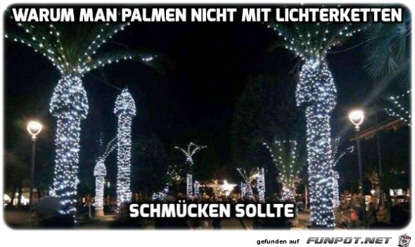 Warum man Palmen..