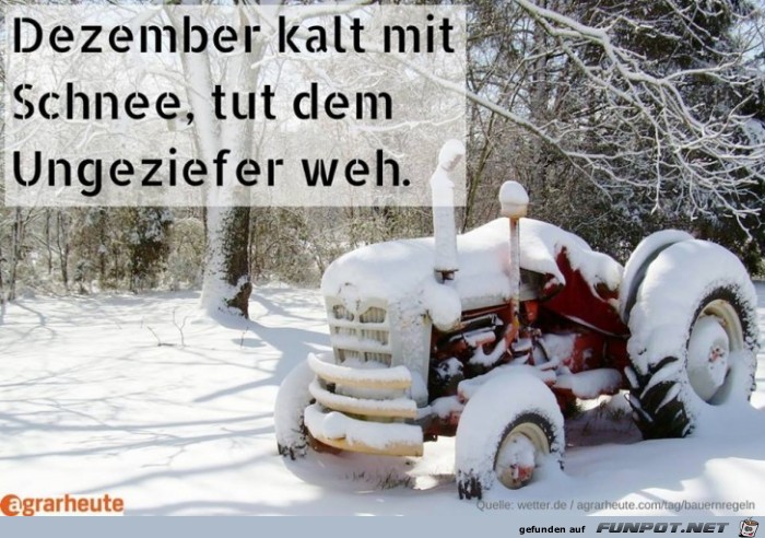 Auch gut Auch gut