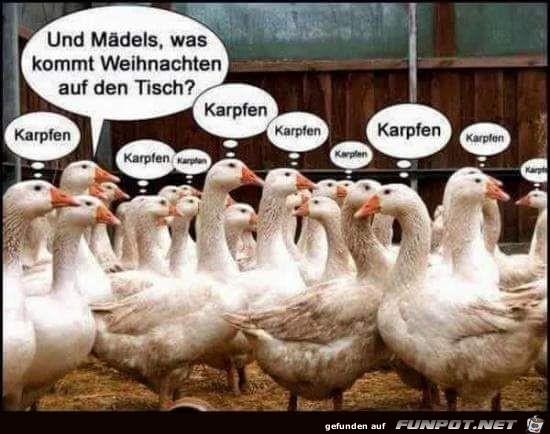 Weihnachtsgaense Weihnachtsgaense