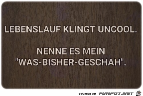 Lebenslauf Lebenslauf