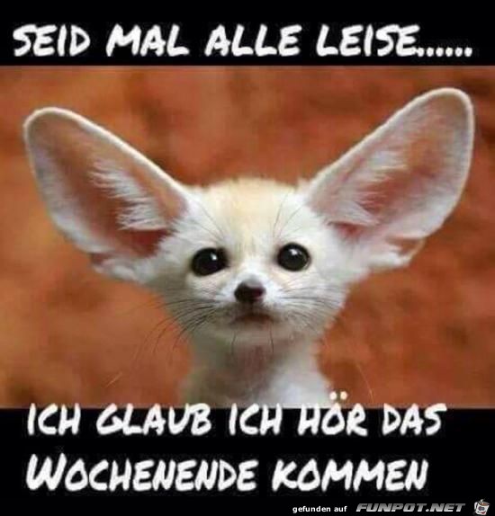 seid mal alle leise.........