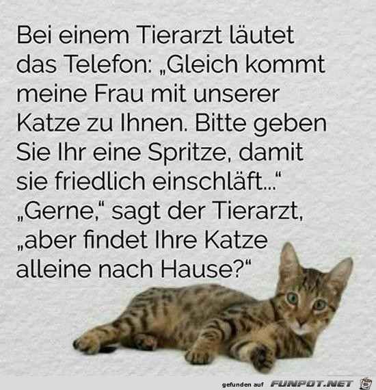 beim Tierarzt läutet das Telefon......... beim Tierarzt läutet das Telefon.........