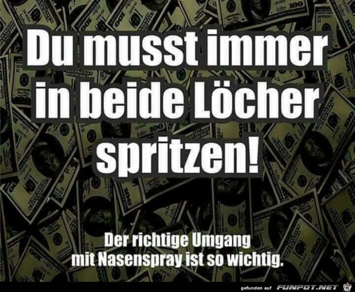 in beide Löcher in beide Löcher