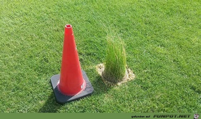 Rasenmaeher-Fail Rasenmaeher-Fail