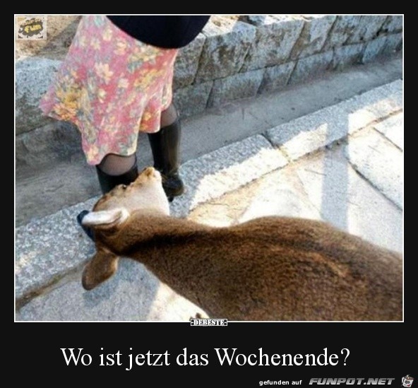 Wo ist das Wochenende