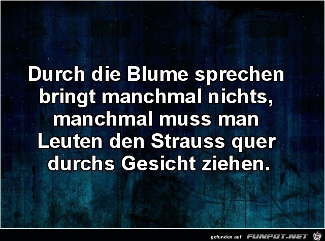 durch die Blume sprechen........