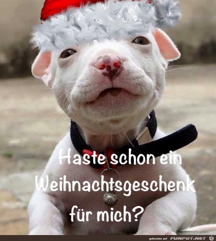 Gute Frage Gute Frage