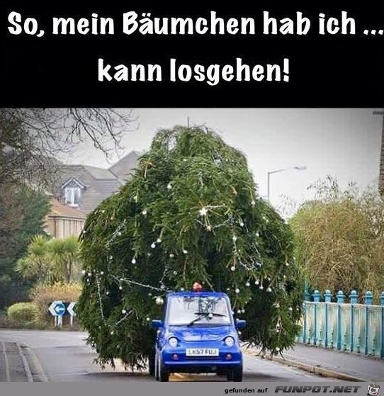 Bäumchen hab ich Bäumchen hab ich