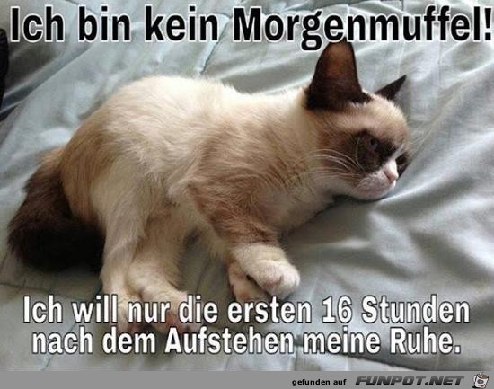 Morgenmuffel Morgenmuffel