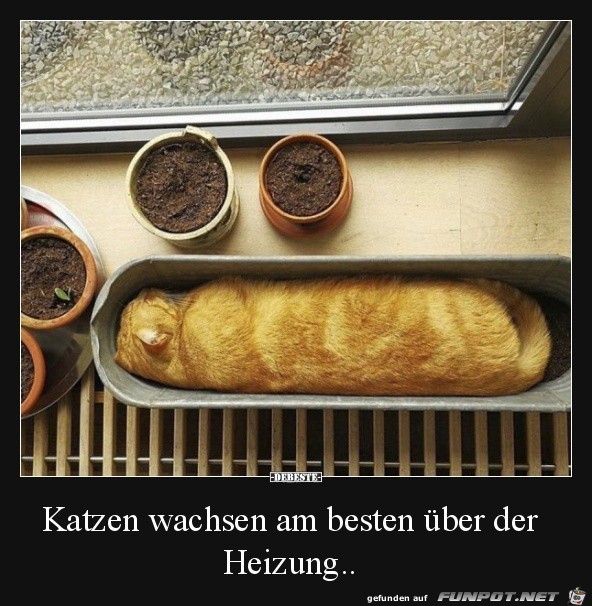 Super Tipp Super Tipp