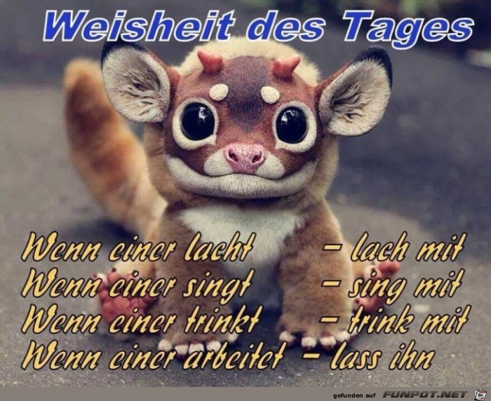 Weisheit des Tages