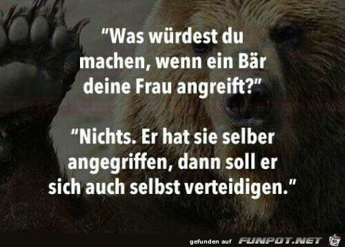 Ein Bär greift deine Frau an Ein Bär greift deine Frau an