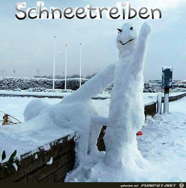 Schneetreiben