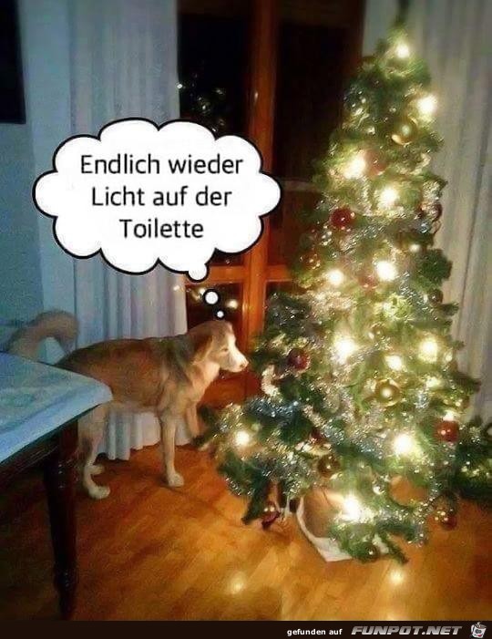Licht auf dem Klo Licht auf dem Klo