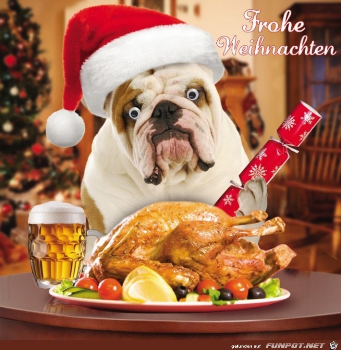 Frohe Weihnachten Frohe Weihnachten