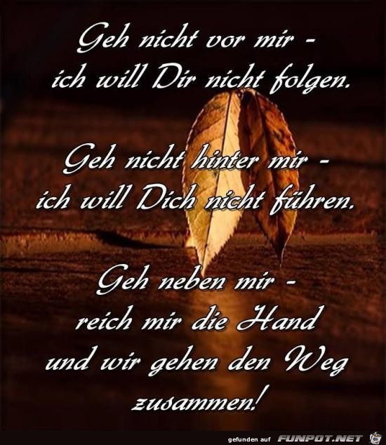 geh nicht vor mir....... geh nicht vor mir.......
