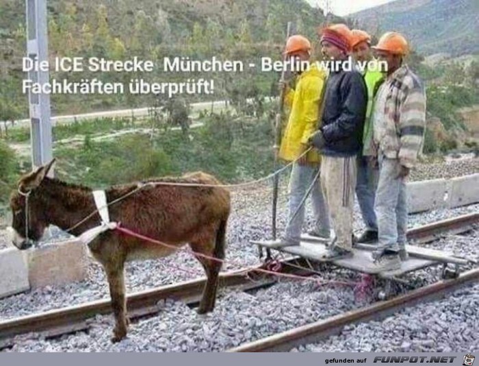 ICE