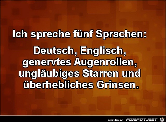 5 Sprachen fließend 5 Sprachen fließend