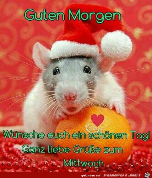 Guten Morgen Guten Morgen
