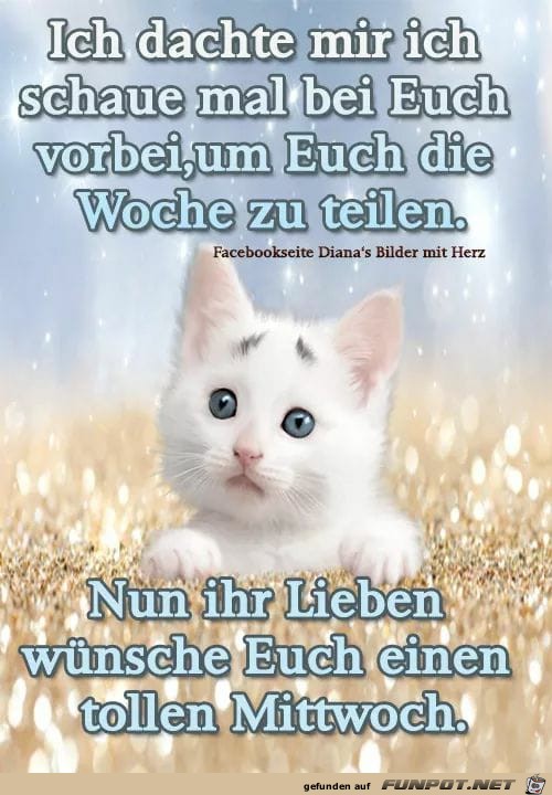 Schau mal vorbei Schau mal vorbei