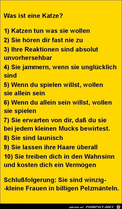 was ist eine Katze?..... was ist eine Katze?.....