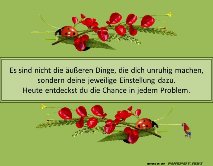 Es sind nicht Es sind nicht