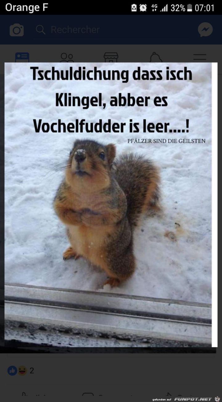 kein Vogelfutter