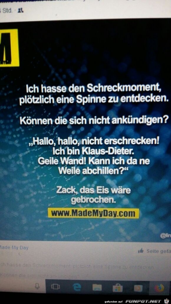 Böse Spinnen Böse Spinnen