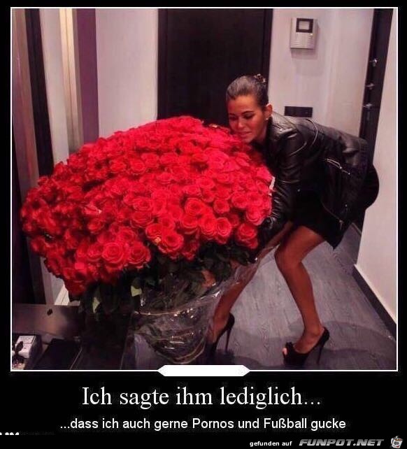 Hat ihm wohl gefallen Hat ihm wohl gefallen