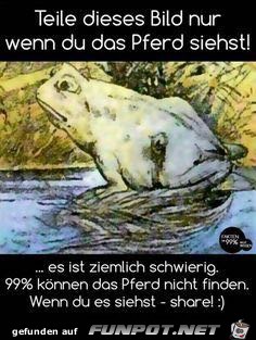 Siehst du das Pferd?