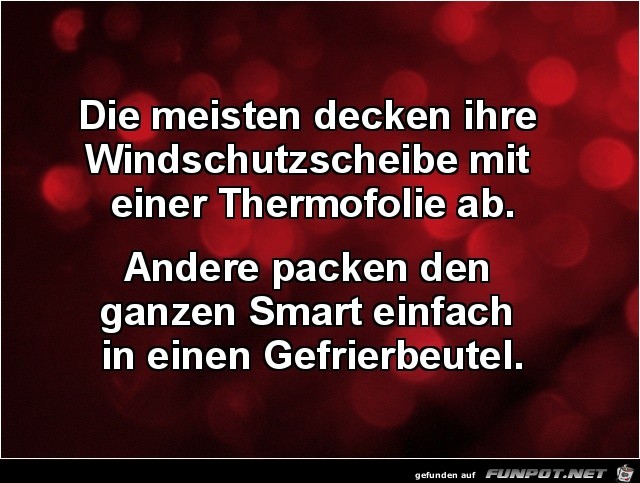Guter Plan Guter Plan