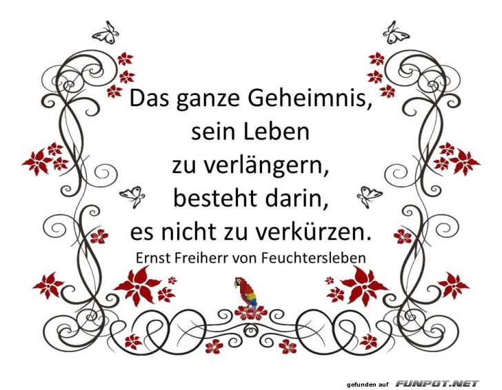 Das ganze Geheimnis Das ganze Geheimnis
