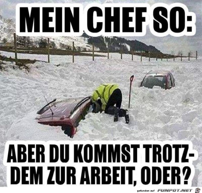 Mein Chef ist ein Depp Mein Chef ist ein Depp