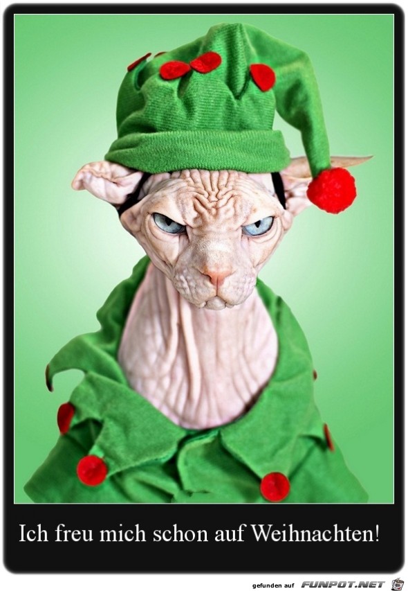 Ich freu mich schon auf Weihnachten Ich freu mich schon auf Weihnachten