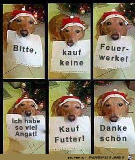 Tiere zu Silvester