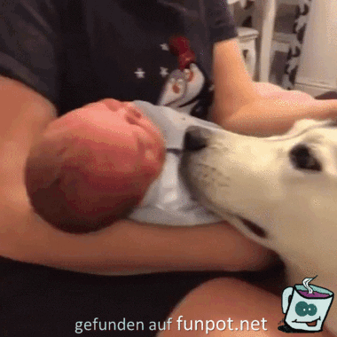 Lieber Hund Lieber Hund