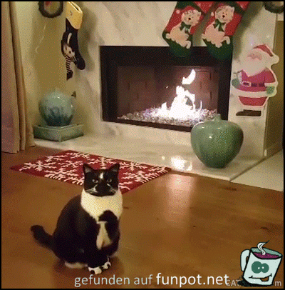 Hände hoch!! Hände hoch!!