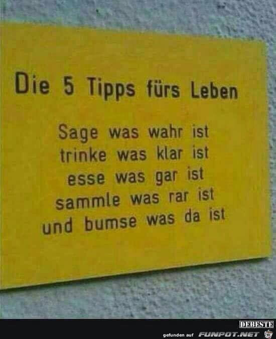 5 Tipps fürs Leben 5 Tipps fürs Leben