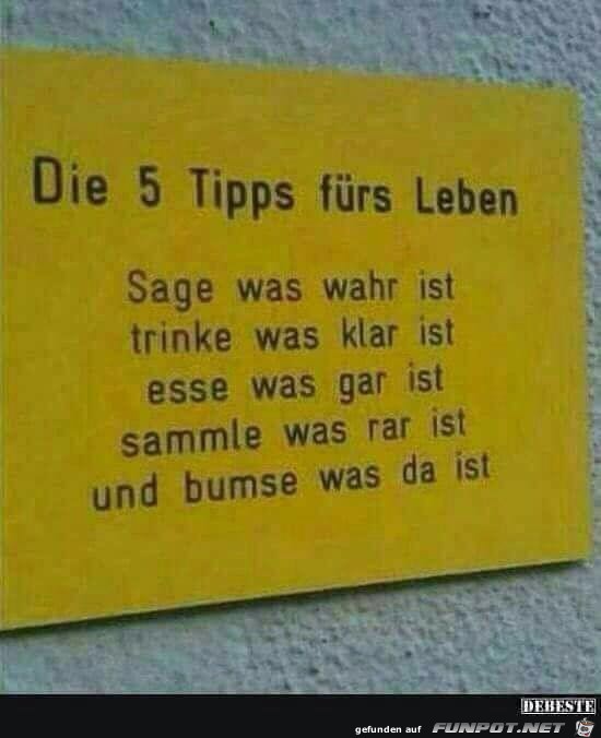 5 Tipps frs Leben