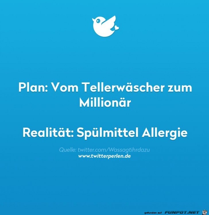 Plan und Realitaet