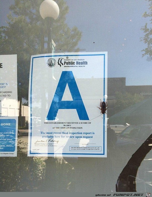 Gesundheitsreport Gesundheitsreport