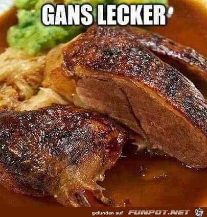 Gans lecker Gans lecker