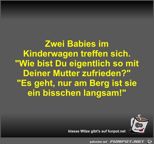 Zwei Babies im Kinderwagen treffen sich Zwei Babies im Kinderwagen treffen sich