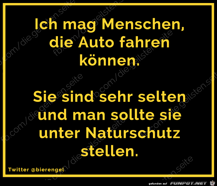 diegeilsten Autofahrer