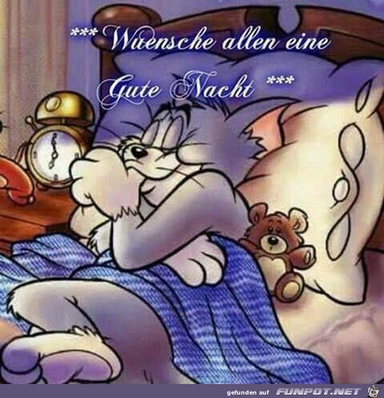 wnsche allen eine gute Nacht...