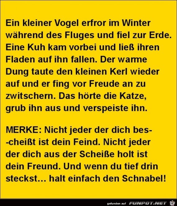 ein kleiner Vogel erfror im Winter.......